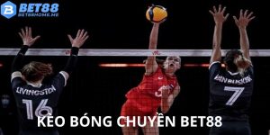Kèo bóng chuyền BET88