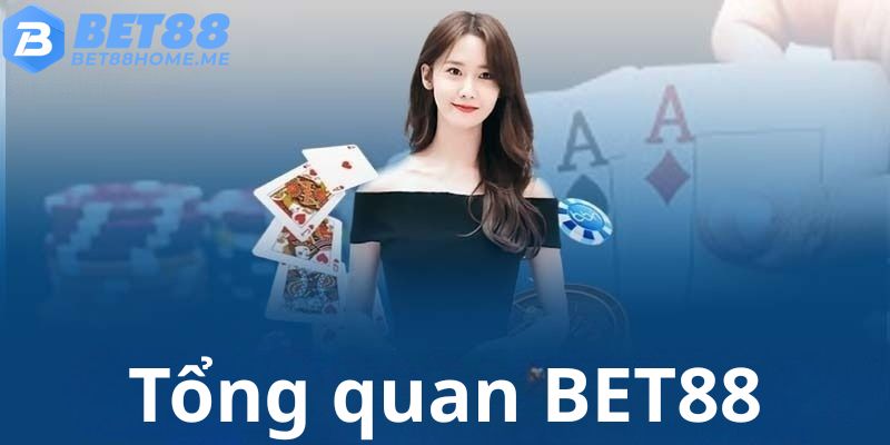Tổng quan về nhà cái